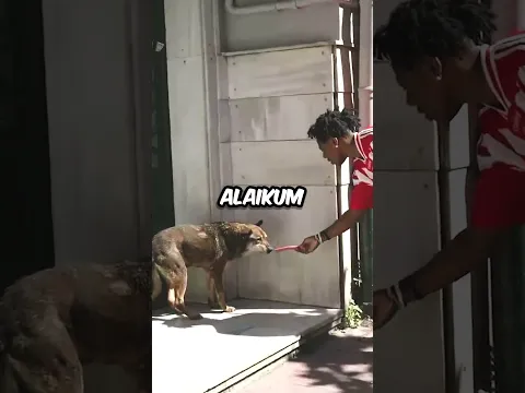 iShowSpeed Helps Homeless Dog 😥
