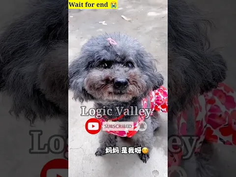 🐕टॉमी हो गया दुःखी 😭~miniwood toy woodworking art skill wood#shorts #trendingshorts#funny#comedy