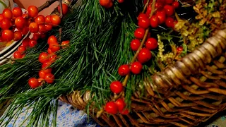The SECRET to Creating STUNNING Winter Art with Red Berries
