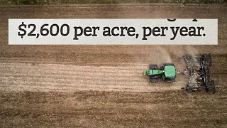 The Highest Paying Crop of 2023, But It Changes Your Land Forever