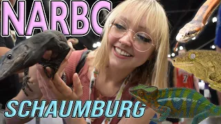 HUGE Reptile Expo - NARBC Schaumburg, June 2021 🐍