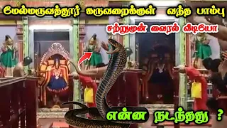 மேல்மருவத்தூர் கருவறைக்குள் வந்த பாம்பு ! இரவு நேரத்தில் பாம்பாக வரும் அம்மன் வைரல் வீடியோ !