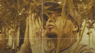 Gera MX - Arma en el Cajón (VideoConcept) 2021