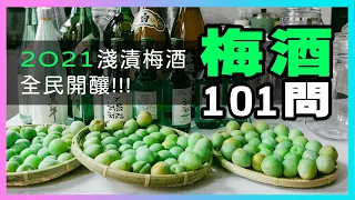 【梅酒101問】淺漬梅酒教學全解析，看完這集沒有失敗的理由，保證梅問題！廚房廢寶索艾克，威士忌梅酒、Gin梅酒、真露梅酒！