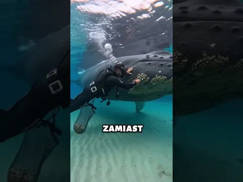 Myślał, że mu pomaga, a mógł go skrzywdzić! Szokująca anatomia 🤯🌊