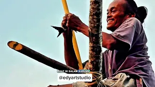 Cara mudah menangkap laron untuk mancing burung dadali