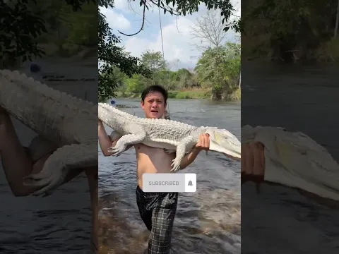 BUAYA PUTIH DIMASAK APA ENGGAK!??