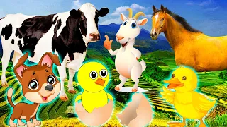 Funny farm animal moments: Cow, chicken, duck, horse, cat, sheep - Animal sounds - Part 5