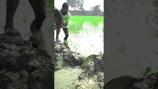 My village vlog