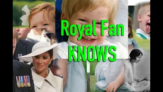 ELDERLY ROYAL FAN 'KNOWS' RIGHT AWAY- Photo of LILI & RECOGNISES IMMEDIATELY.