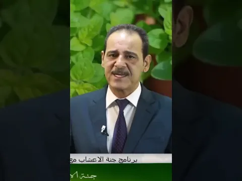 لها فوائد عديده وعشبه امينه جدآ عند تناولها .