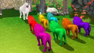 अध्भुत रंगीन शेरो के रूप में नकली बाघ और सफ़ेद शेर जानवर बचाव | Colourfull Lions Story-Hindi Kahani.