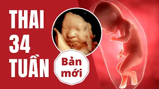 Thai 34 Tuần Nặng Bao Nhiêu? Phát Triển Như Thế Nào?
