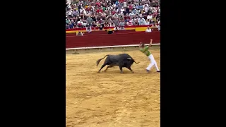 Toros-cst-vlc