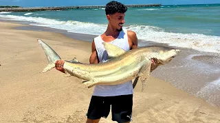 صيد القروش من الشاطئ واكشن نار🦈🔥