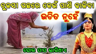 ପ୍ରତିଦିନ ତୁଳସୀ ପୁଜା ନିୟମ Maa Brundavati Puja | tulasi puja vidhi in odia @Odiabohu