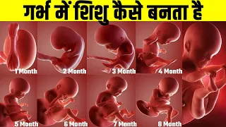 पेट में बच्चे का विकास कैसे होता है || 1 to 9 month of baby growth during Pregnancy? Universal Facts
