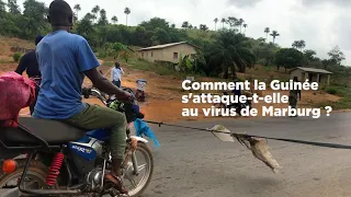 La Guinée confirme un cas de virus Marbug