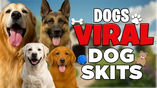 VIRAL EMOTIONAL Dog Skits!!