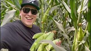 FUIMOS A R0B4R ELOTES Y ASI NOS FUE-EL CHIQUETE