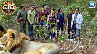 Jungle में हुआ जब Team CID का इस खतरनाक शेर से सामना | Best Episode | Best Of CID | Full Episode