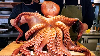 연 매출 20억, 역대급 생선회, 16kg대왕 문어, 참치, 연어, 도미, Amazing Seafood Sashimi, Giant Octopus, Fish Fillet skills