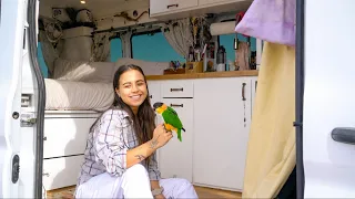 van tour: solo female traveler lives in 2017 Ford Transit with a parrot!