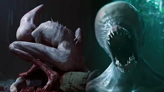 NEOMORFO A RAÇA ALIEN QUE DIZIMOU UM PLANETA INTEIRO! (Alien Covenant)