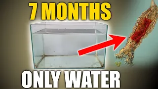 What happens after 7 months of letting water sit?