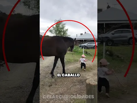 La amistad mas sincera del mundo ❤️