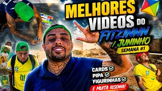 MELHORES VIDEOS CARDS, PIPA E MUITOS MAIS, COMPILADO #1 