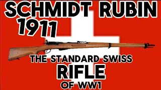 Furry Reviews The SCHMIDT RUBIN 1911 | the Standard Issue Rifle for Switzerland in WW1