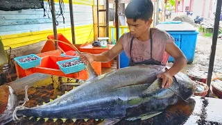 (AGE 16) CUTTING FISH SATISFYING || 320 POUND TUNA FISH CUTTING SKILLS
