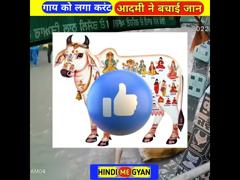 तड़पती हुई गाय को कैसे बचाया ~ #shorts