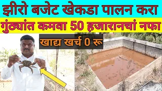 खेकड़ा पालन १ गुंठ्यात ५० हजाराचा नफा #Crab Farming Success Story in Maharashtra