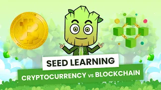 Crypto vs Blockchain: What are the differences? | SEED Learning #2