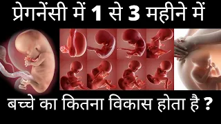 प्रेगनेंसी में 1 से 3 महीने में बच्चे का कितना विकास होता है | How A Baby Developed in 1 to 3 Month