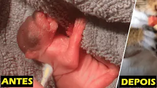 Mulher RESGATA CRIATURA COR DE ROSA e depois DESCOBRE que é um...