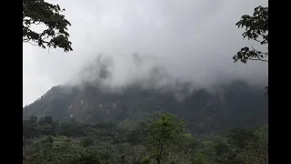 Macizo de Peñas Blancas a 1650 msnm Reportaje Alan Poveda Nicaragua