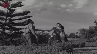 Aa Navvula Kosame Nenu kalalu kannnu  Video Song | ANR, Krishna Kumari | All Time Classic Songs