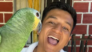 Viaja conmigo el cholopo está en vivo