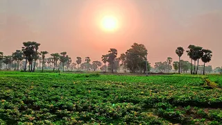 Bahut Dino Ke Baad Live | Good Morning 🌞