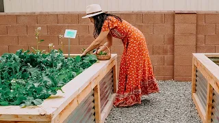 Tiny Home Rental 🏡 | My first Garden!