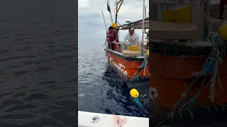 Bartering in the open OCEAN // We ran out of bait at Hannibal Bank!