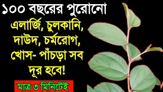 ১০০বছরের পুরোনো এলার্জি, চুলকানি, যেকোনো চর্মরোগ মাত্র ৩ মিনিটেই দূর হবে এই নিয়মে বড়ই পাতা ব্যবহারেই