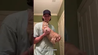 These CATS are too FUNNY! 🤣 | Funniest and Cutest Cats 2025 😼