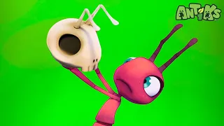 Hab keine Angst, Ameise | Antiks - Lustige Cartoons für Kinder | Moonbug Kids Deutsch