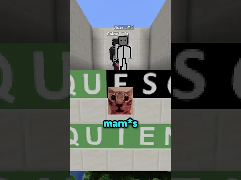 QUEEE 😨  #truedialogue #minecraft #shorts