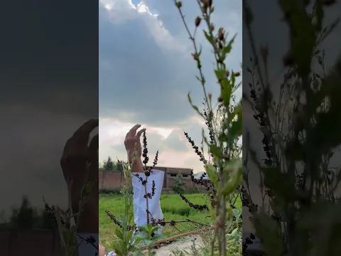 अज़ान का एहतराम ना करने का अंजाम   😱😭🙏 ? @successstockTV   #islamic #shorts #shortsfeed #fun2hell