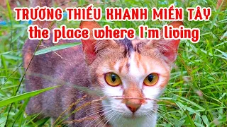 Vườn nhà của Khanh nè | Miền Tây nơi tôi đang sống - The place where I'm living. ☺️❤️